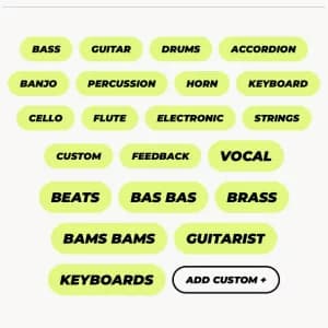 Select Instruments You Play 

This helps in matching you with songs that need your skill set. For instance, if a song requires vocals or a bass-line, Djaminn will know if you are likely to be interested!.